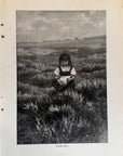 1892 Heather Bloom Original Black And White Wood Engraving
