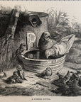1893 A Summer Outing Antique Magazine Wood Engraving, Bird Watcher