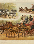 1887 Celebrated Teams In The Park Magazine Illustration Sturgess Count Munster Irish Aristocracy