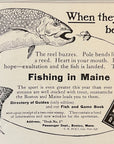 1910 Boston & Maine Railroad Print Ad Fishing in Maine Trout Trout Fly