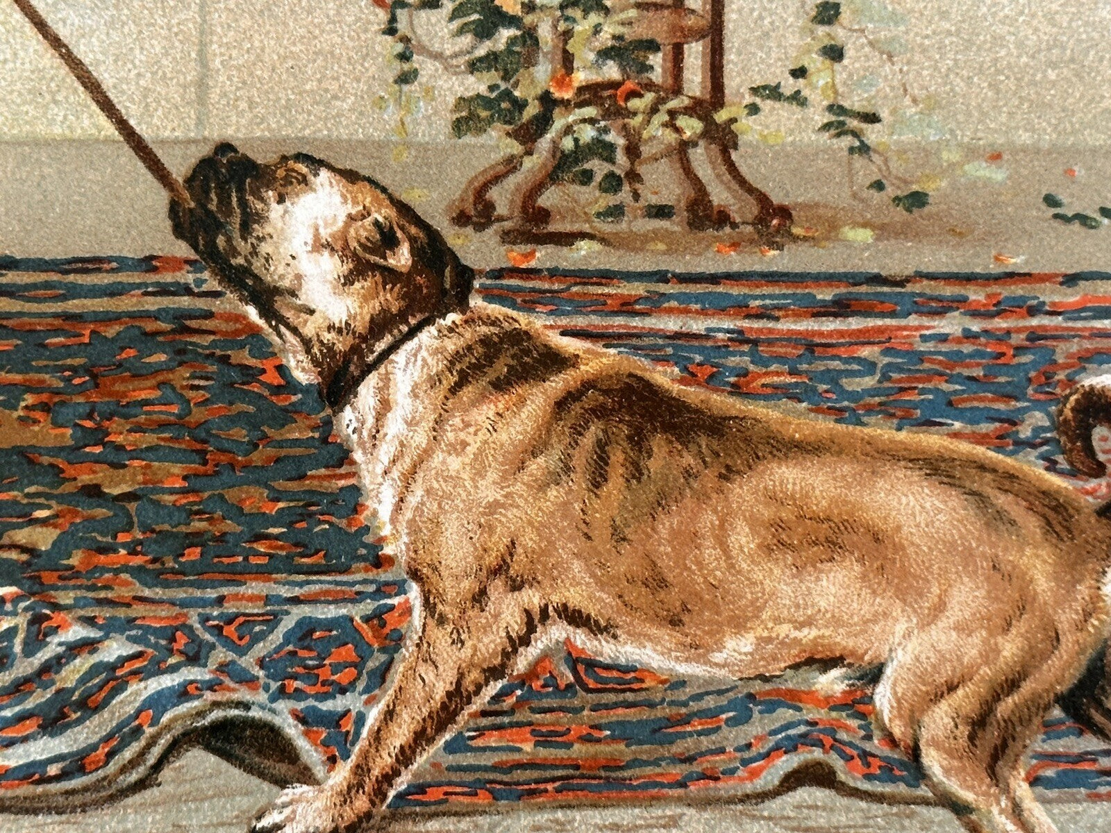 1891 "The Tug Of War" Chromolithograph Print | Magazine Illustration