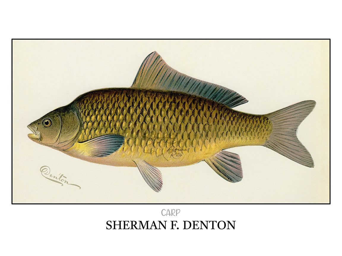 a picture of a fish with a name on it
