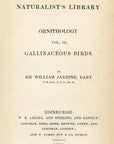 1834 Bankiva Cock Hand-Colored Frontispiece Jardine Lizars Ornithilogy Vol. 3