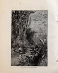 1893 Bird Nesting At Lake Worth, Florida Antique Antique Magazine Wood Engraving