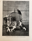 1892 The Domicile Invaded By Lambert, Champ De Mars Antique Wood Engraving