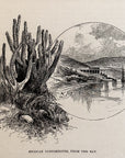 1893 Mexican Customhouse, From The Bay Antique Magazine Wood Engraving