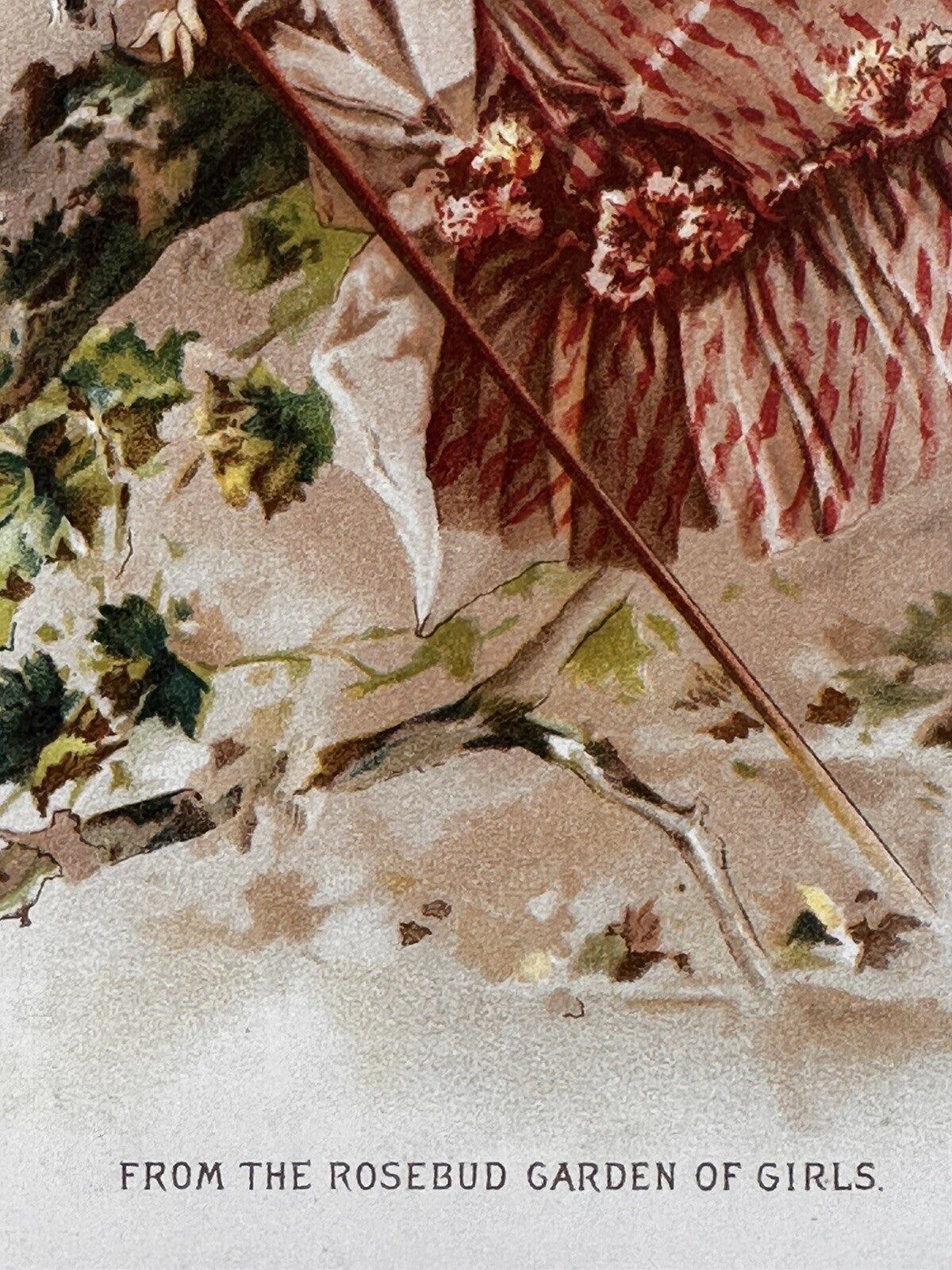 1886 "From The Rosebud Garden Of Girls" Chromolithograph Print | Magazine Illustration