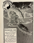 1904 Northern Pacific Railway Railroad Print Ad Yellowstone Trout Fishing