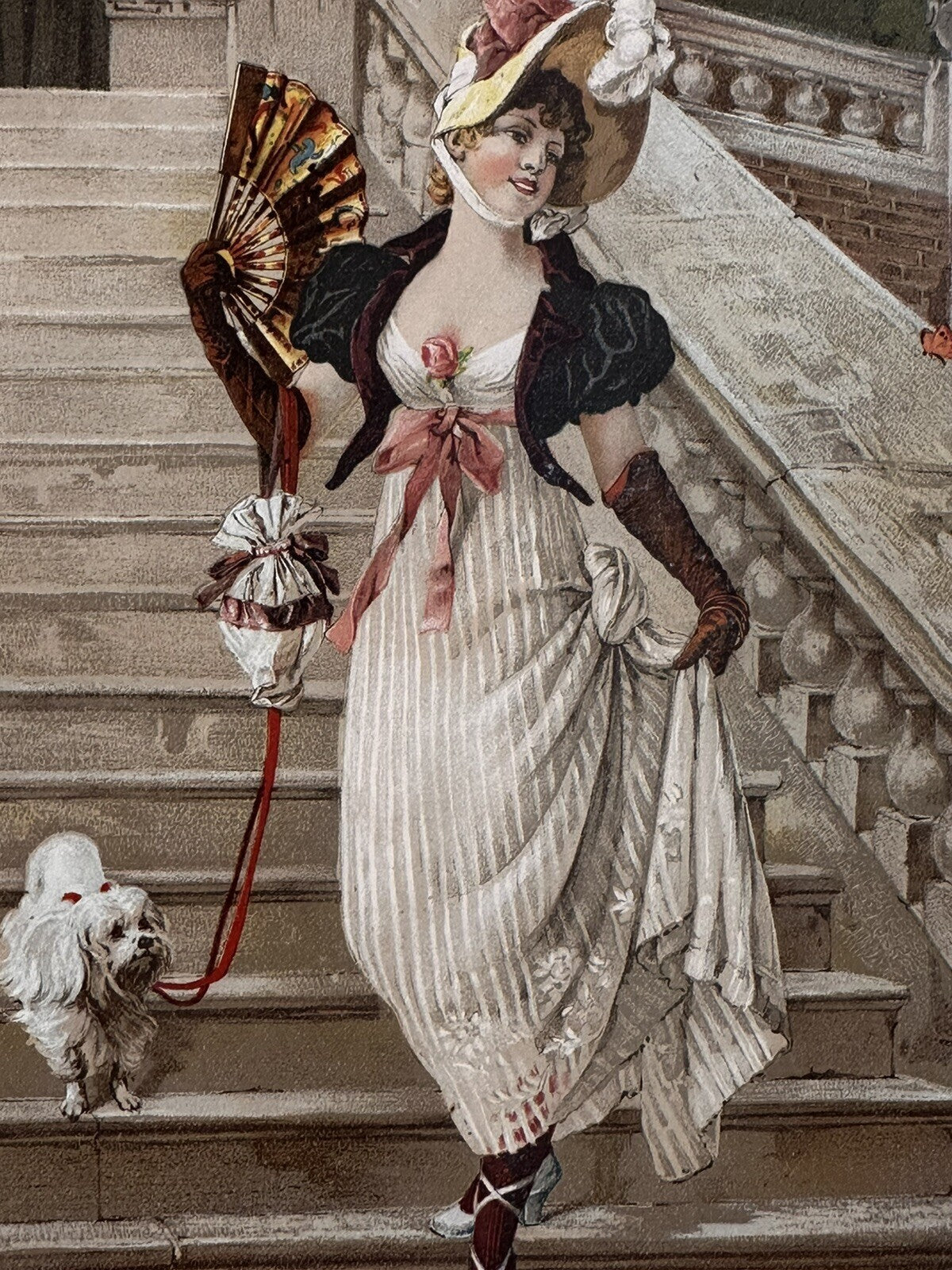 1889 "Butterflies" Chromolithograph Print | Magazine Illustration