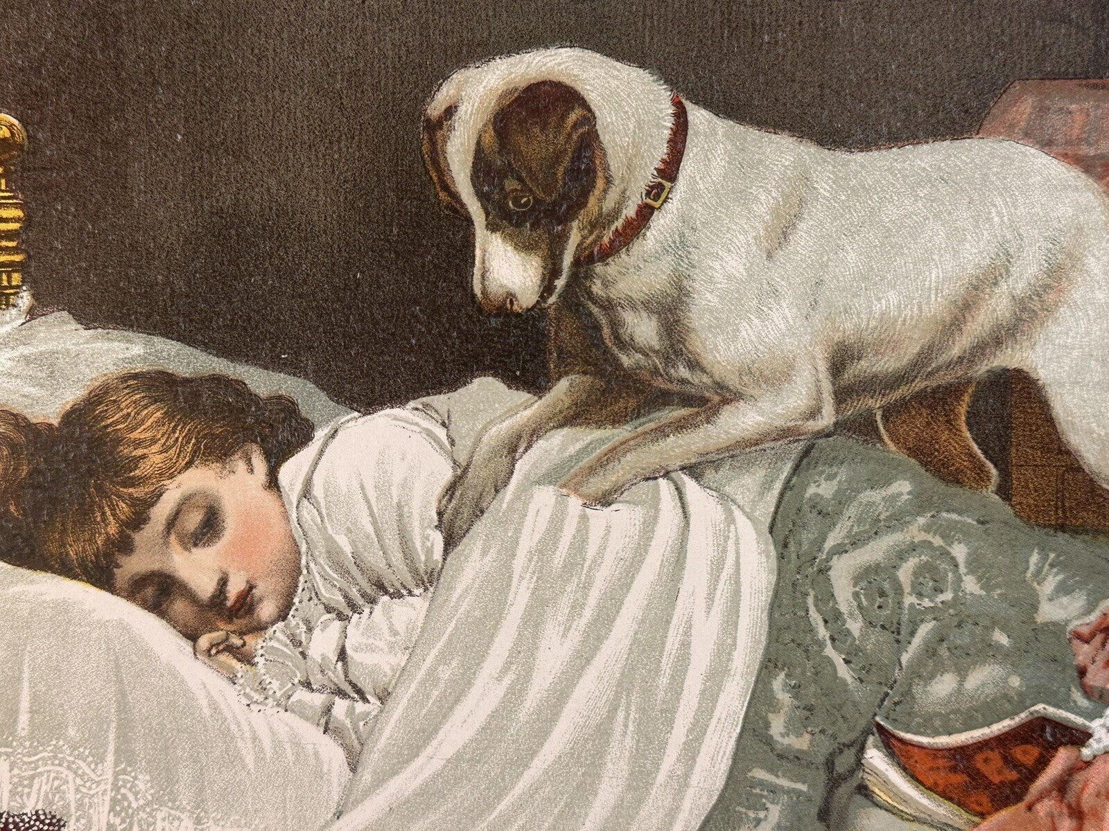 1884 "The Morning Call" Chromolithograph Print | Magazine Illustration