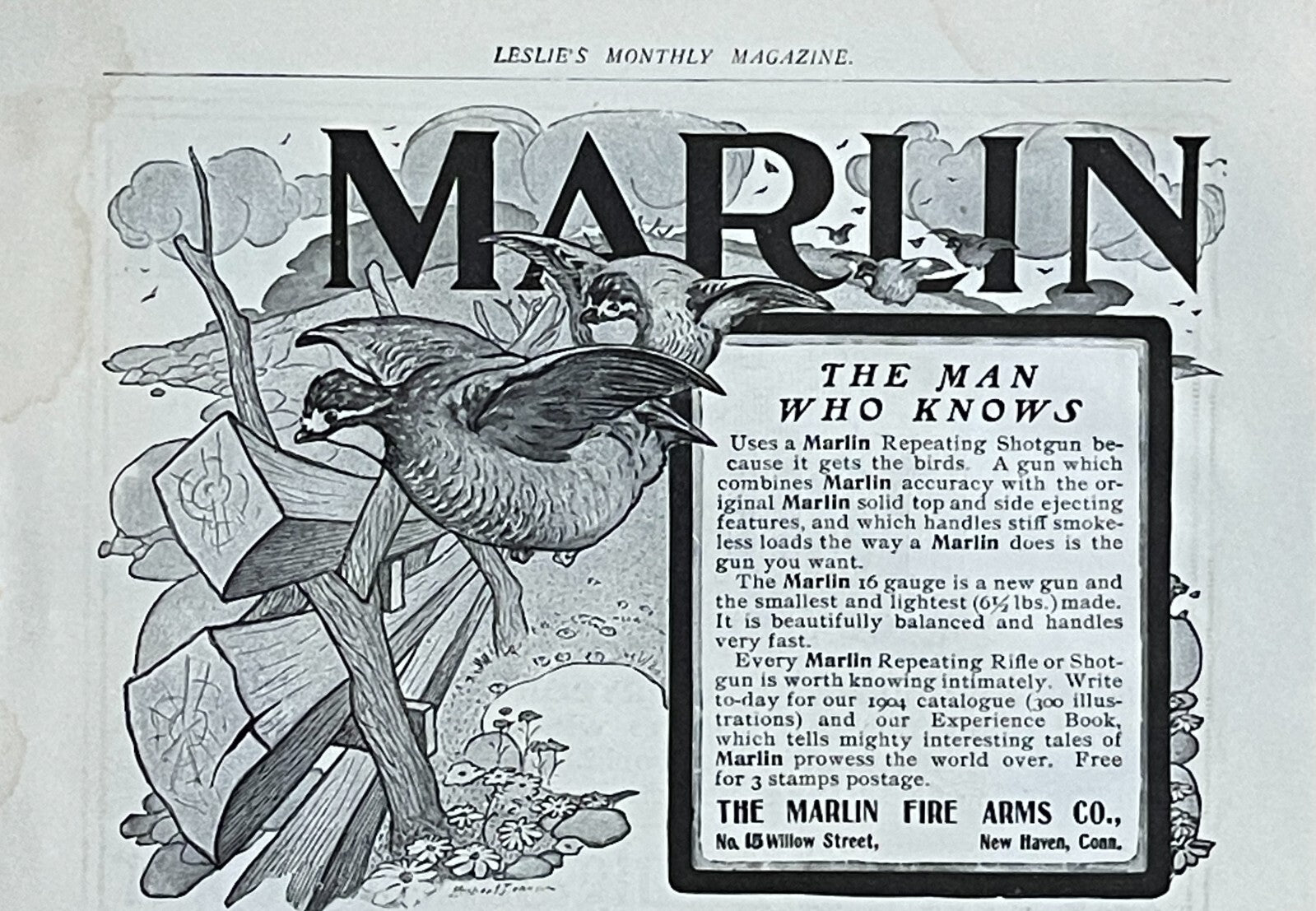 1904 Marlin Repeating Shotguns Antique Print Ad New haven CT Upland Birds Rifles