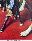 C.M. Coolidge RIDING THE GOAT Masonic Initiation Saint Bernard Dogs