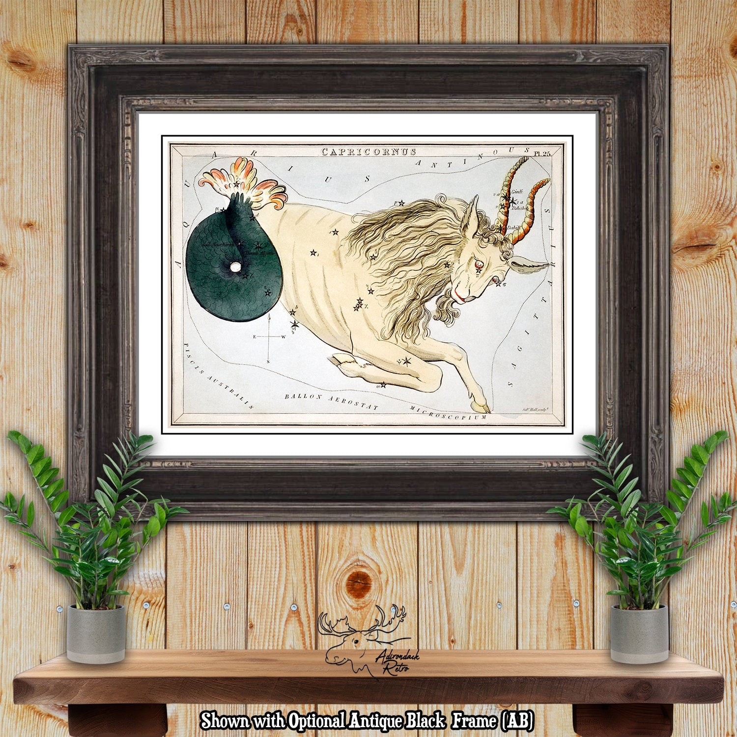 Capricorn Constellation Star Map by Sidney Hall Fine Art Astrology Print at Adirondack Retro