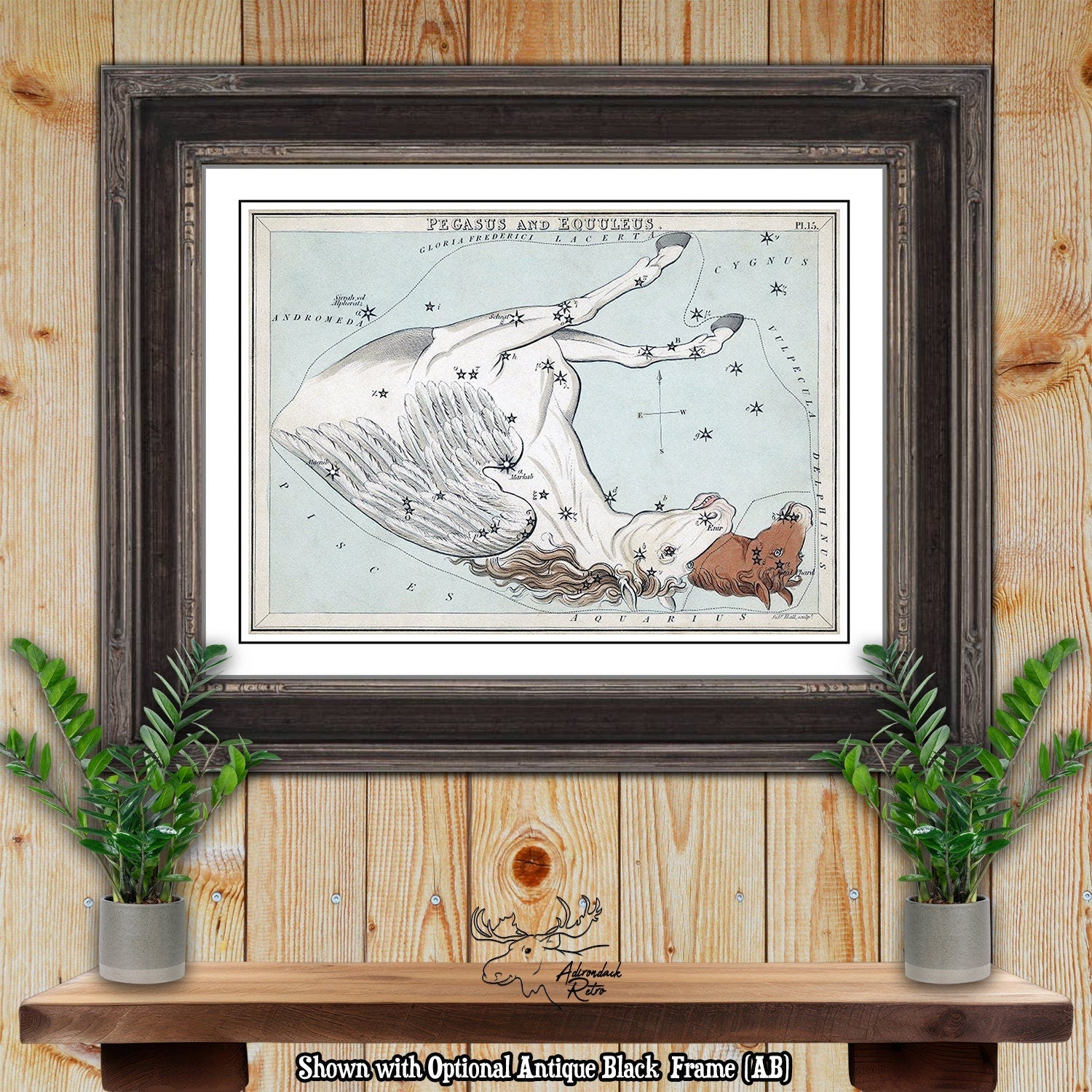 Pegasus and Equuleus Constellation Star Map - Sidney Hall Fine Art Astrology Print at Adirondack Retro