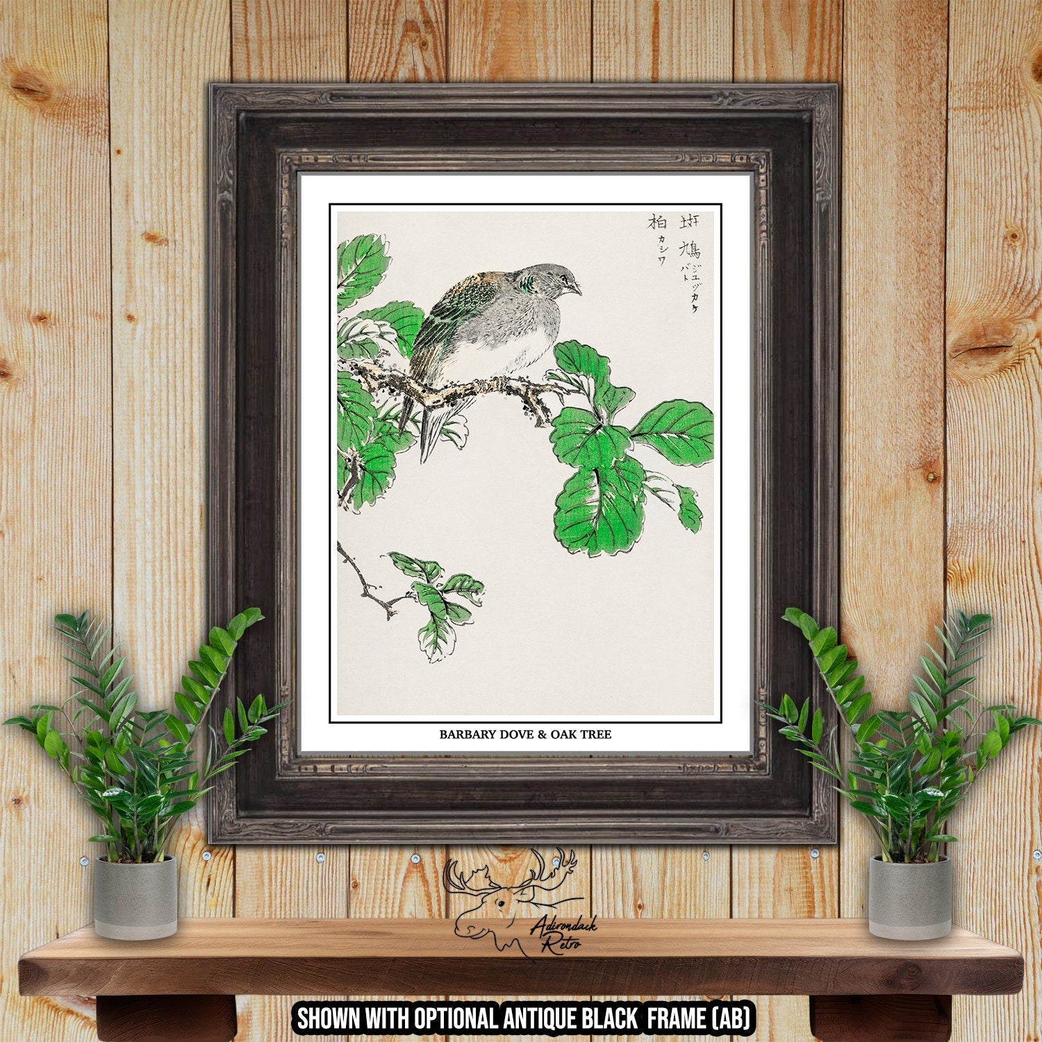 Barbary Dove and Oak Tree by Numata Kashu Giclee Fine Art Bird Print at Adirondack Retro