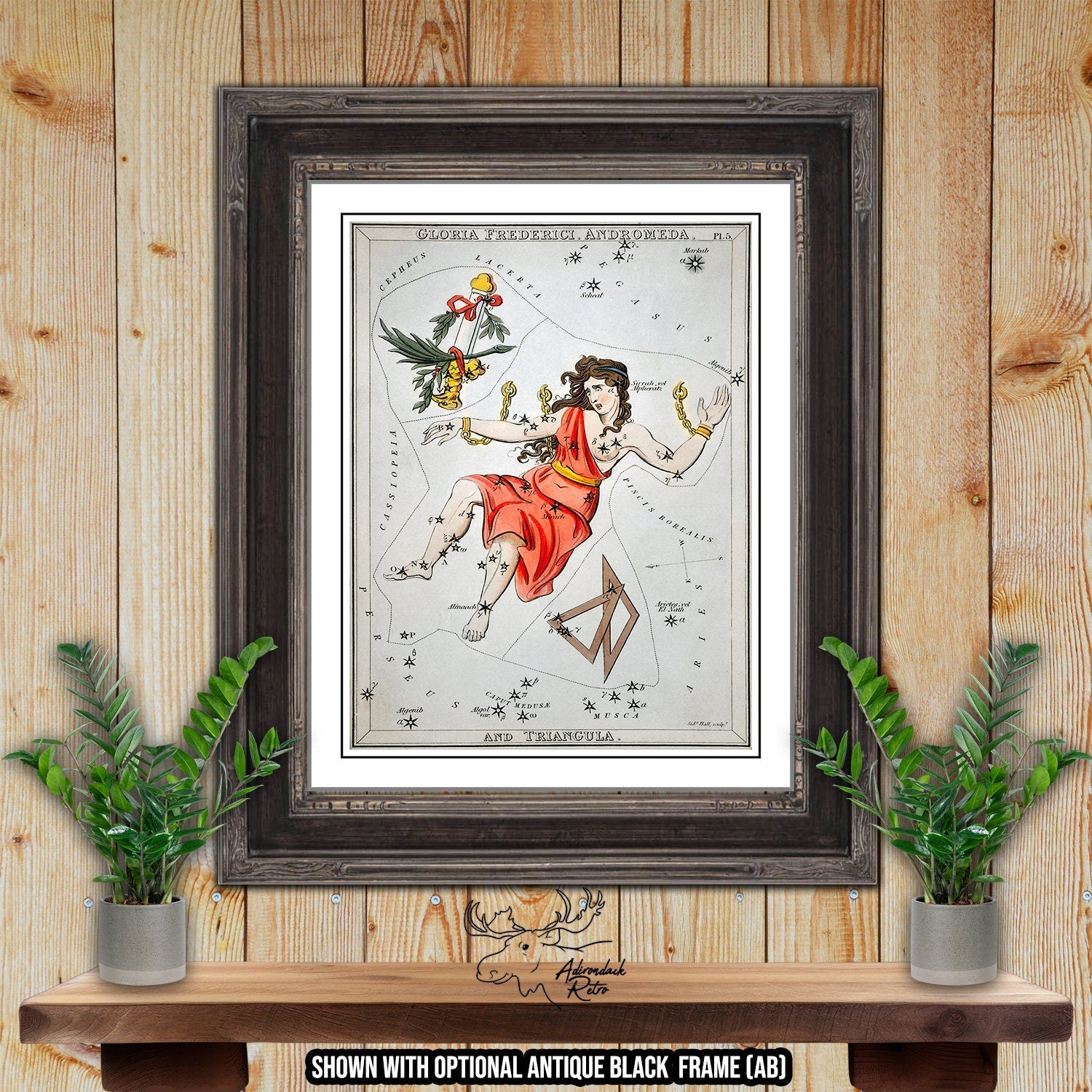 Andromeda Constellation Star Map by Sidney Hall Fine Art Astrology Print at Adirondack Retro