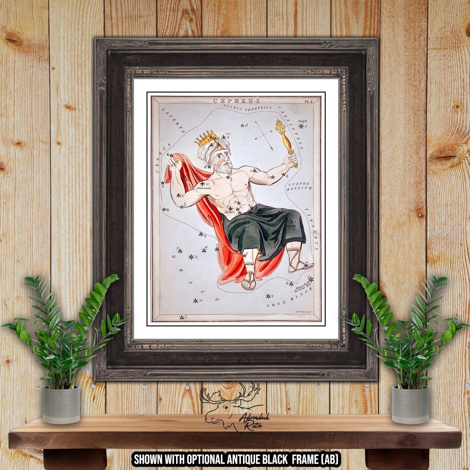 Cepheus Constellation Star Map by Sidney Hall Fine Art Astrology Print at Adirondack Retro