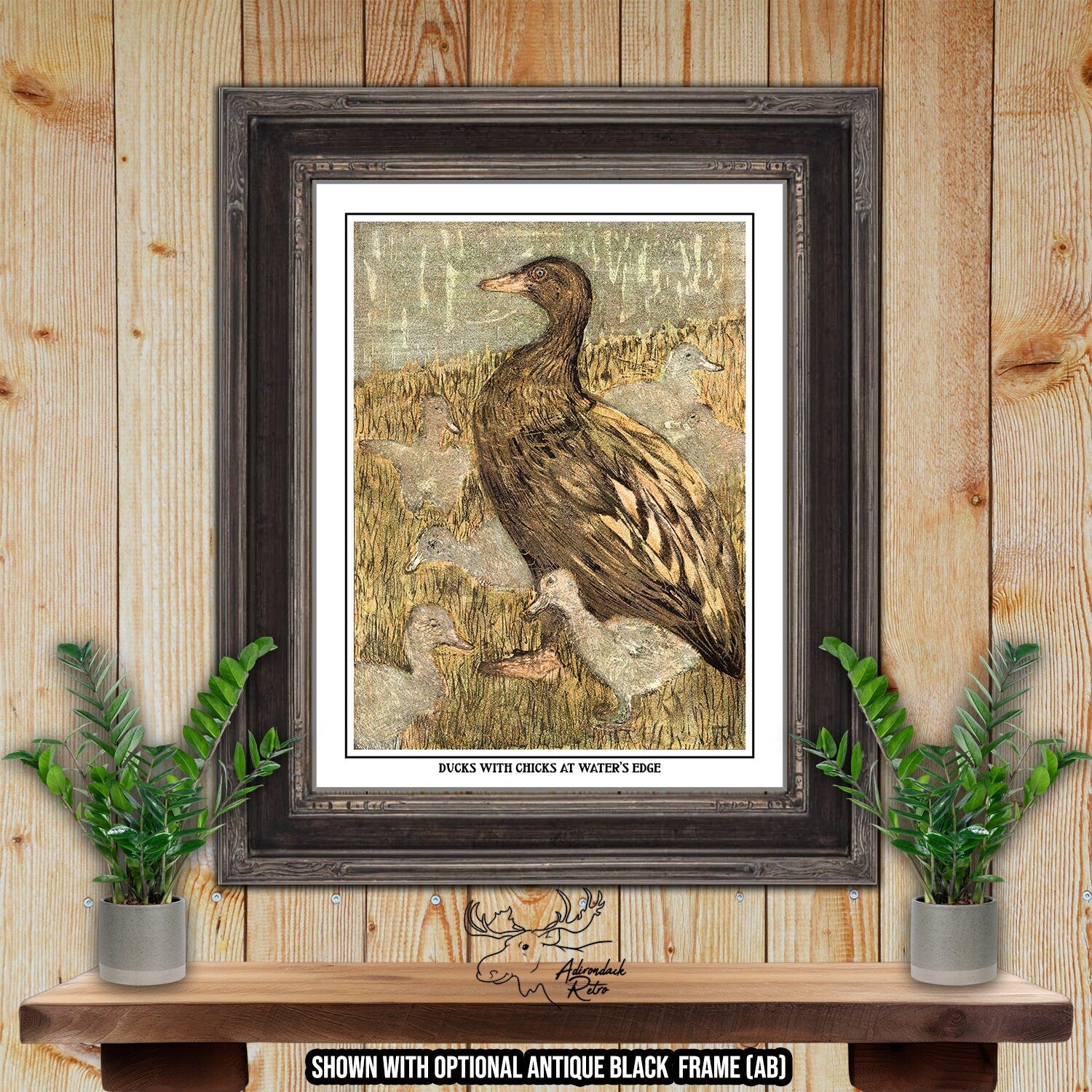 Ducks With Chicks At Water's Edge by Theo van Hoytema Giclee Fine Art Print at Adirondack Retro