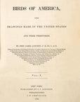 Audubon Great Black-backed Gull Pl. 450 - Birds Of America Royal Octavo 1st Edition Antique Print