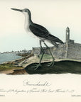 Audubon Greenshank Pl. 346 - Birds Of America Royal Octavo 1st Edition Antique Print
