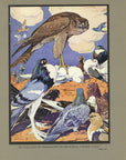 1921 The Kite And The Pigeons Tipped-In Color Book Plate - Paul Bransom Antique Print