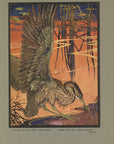 1921 The Bittern And The Mussel Tipped-In Color Book Plate - Paul Bransom Antique Print