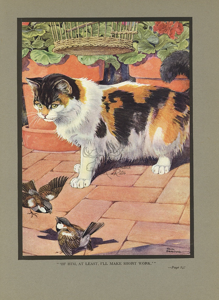 1921 The Cat And The Sparrows Tipped-In Color Book Plate - Paul Bransom Antique Print