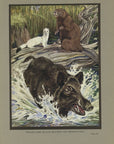 1921 The Warthog, Beaver And Mink Tipped-In Color Book Plate - Paul Bransom Antique Print