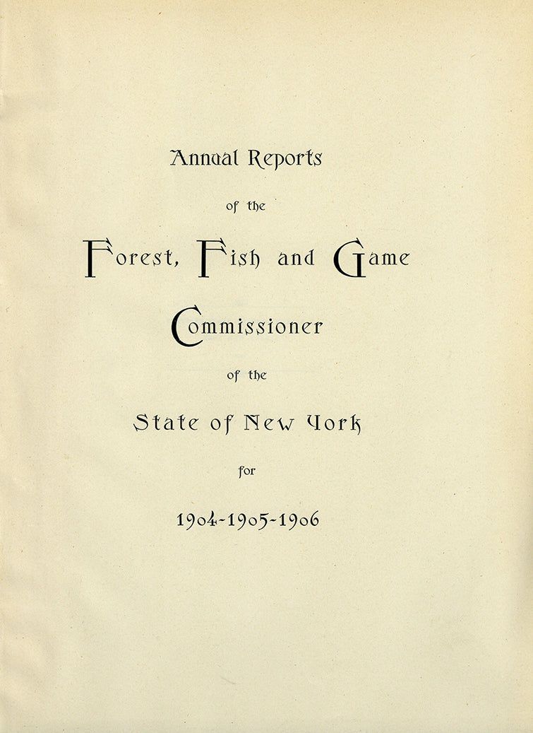 1907 Flat Fish - Antique Sherman F. Denton Fish Print