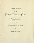 1904 Channel Catfish - Antique Sherman F. Denton Fish Print