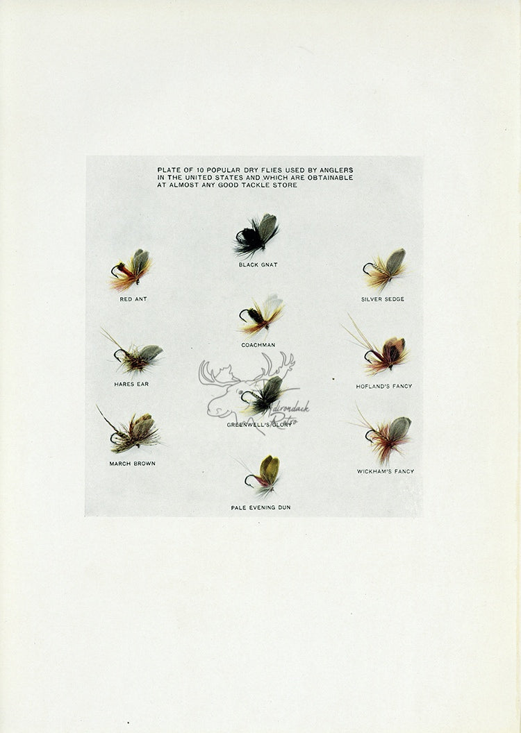 1914 10 Popular Dry Flies - H.H. Leonard Antique Fishing Print