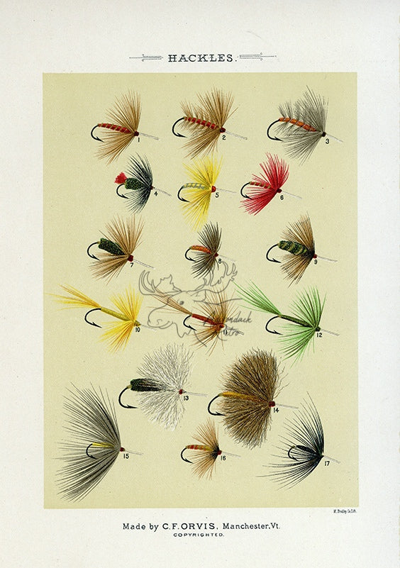 1892 Hackles Plate A - Antique Mary Orvis Marbury Fly Fishing Print –  Adirondack Retro