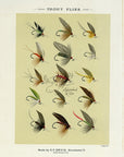 1892 Trout Flies Plate P - Antique Mary Orvis Marbury Fly Fishing Print