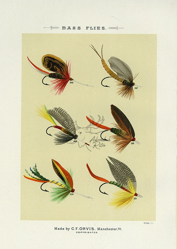 1892 Bass Flies Plate Y - Antique Mary Orvis Marbury Fly Fishing