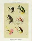 1892 Bass Flies Plate BB - Antique Mary Orvis Marbury Fly Fishing Print