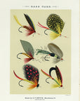 1892 Bass Flies Plate CC - Antique Mary Orvis Marbury Fly Fishing Print