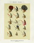 1892 Trout Flies Plate T - Antique Mary Orvis Marbury Fly Fishing Print