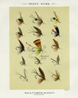 1892 Trout Flies Plate O - Antique Mary Orvis Marbury Fly Fishing Print