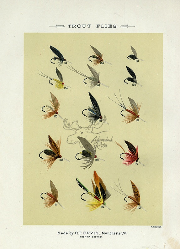1892 Trout Flies Plate N - Antique Mary Orvis Marbury Fly Fishing
