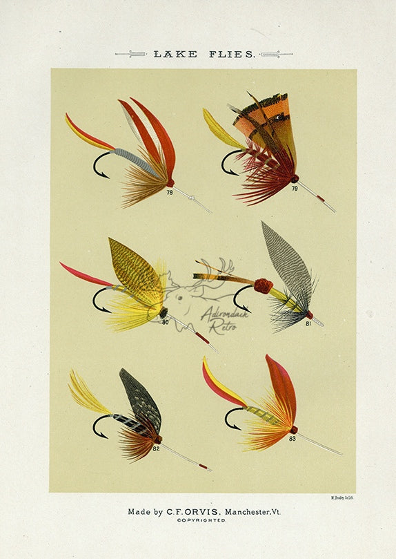 FISHING FLIES III by Mary Orvis Marbury Framed Art - Wall Art - Products