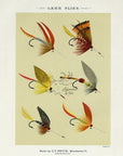 1892 Lake Flies Plate L - Antique Mary Orvis Marbury Fly Fishing Print