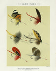 1892 Lake Flies Plate H - Antique Mary Orvis Marbury Fly Fishing Print