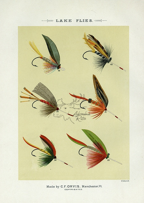 1892 Lake Flies Plate G - Antique Mary Orvis Marbury Fly Fishing