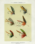 1892 Lake Flies Plate G - Antique Mary Orvis Marbury Fly Fishing Print