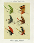 1892 Lake Flies Plate F - Antique Mary Orvis Marbury Fly Fishing Print