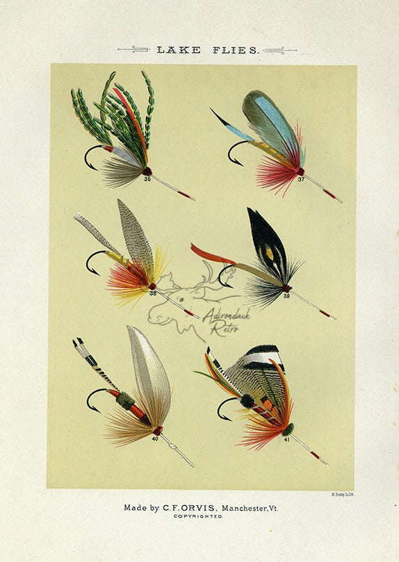 1892 Hackles Plate A - Antique Mary Orvis Marbury Fly Fishing Print –  Adirondack Retro