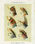 1892 Salmon Flies Plate C - Antique Mary Orvis Marbury Fly Fishing Print