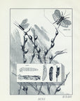 1892 Orvis Duns III Class - Antique Mary Orvis Marbury Fly Fishing Print