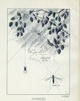 1892 Orvis Spinners IV Class - Antique Mary Orvis Marbury Fly Fishing Print