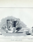 1892 Orvis Flies And Ants V and VIII Classes - Antique Mary Orvis Marbury Fly Fishing Print
